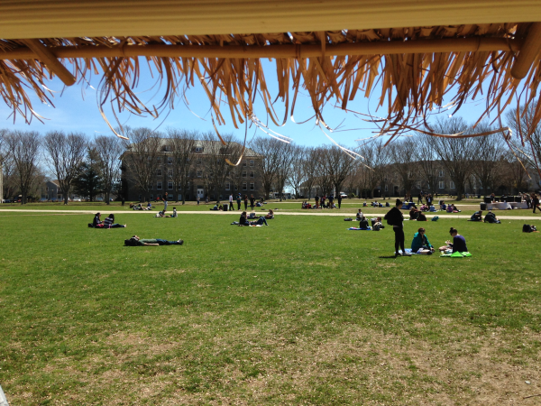 maui wowi smoothies at University of Rhode Island